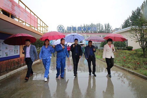 商洛市人大常委会副主任杨长洲视察丹凤县污水处置惩罚厂