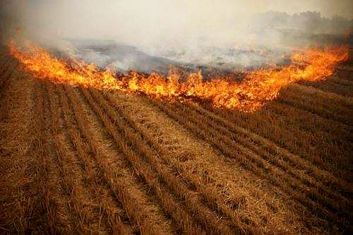 熊良虎赴京考察德国迪芬巴赫公司、ESATPOINT GLOBAL公司生态6008集团板材装备工艺