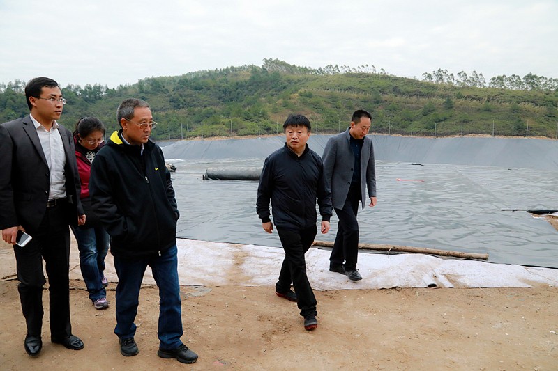 熊良虎在广西考察调研固废处置惩罚事情时指出：抢抓机缘，，，，加速优势工业“走出去”
