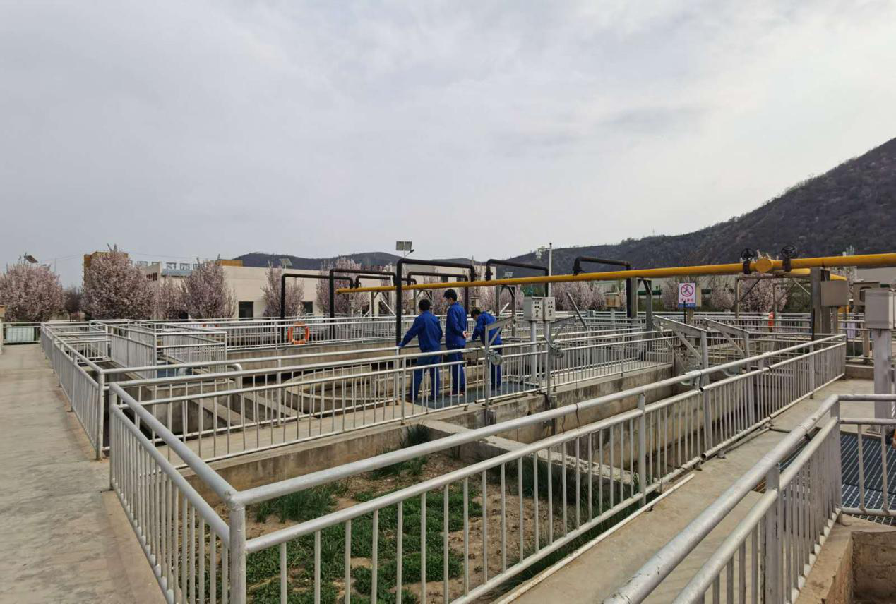 “绿满厂区春意浓”摄影作品征集活动部分作品展示（二）