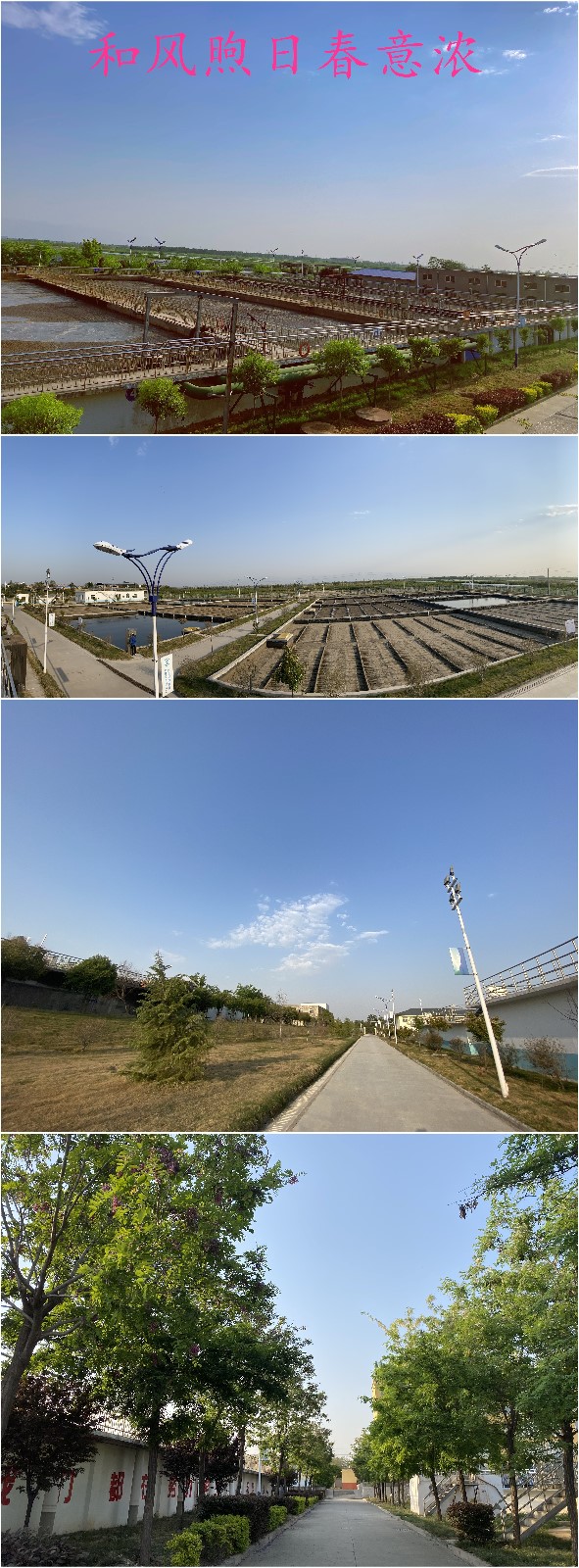 “绿满厂区春意浓”摄影作品征集活动部分作品展示（二）