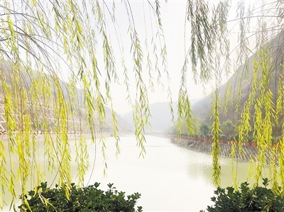 中国情形报：守护三秦大地绿水青山——陕西6008集团集团建设以来，，，成为陕西污染防治的排头兵