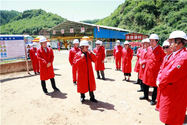 陕西6008集团集团复工复产促增添项目观摩聚会与会职员走进6008集团保隆生态三秦在延在铜项目