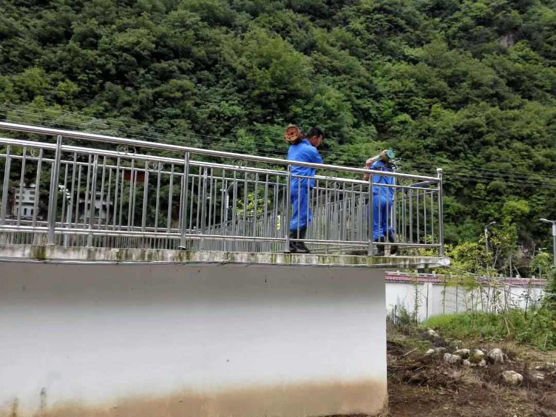 这个端午节，，水情形人这么过（二）