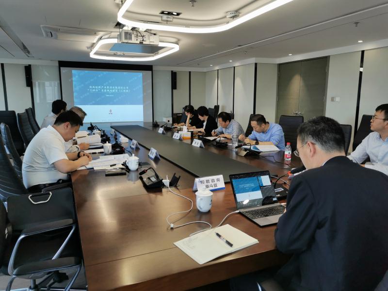 陕西6008集团集团召开“十四五”生长妄想专家评审座谈会