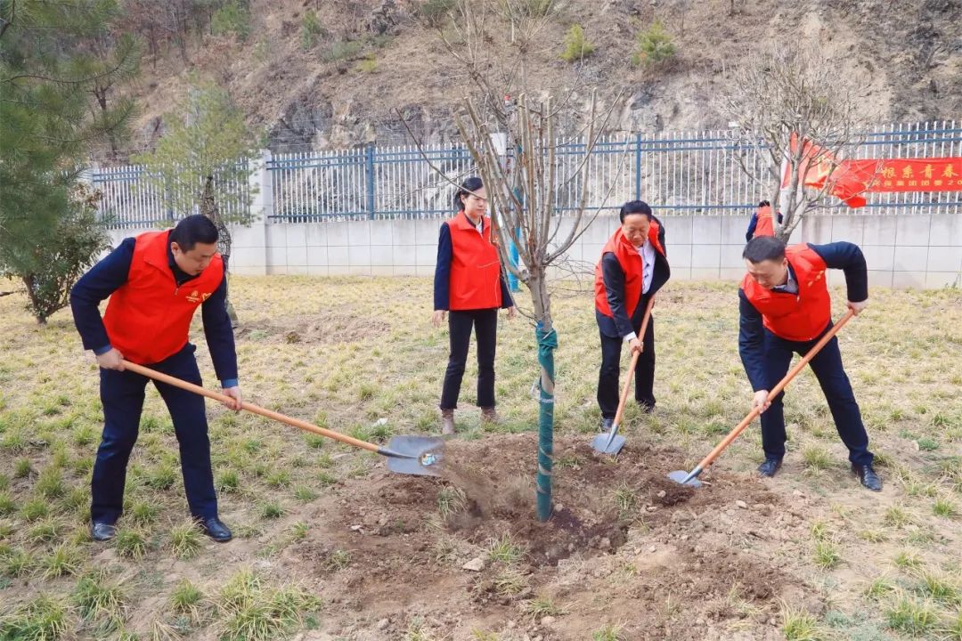 根系青春·植此青绿｜陕西6008集团集团团委开展义务植树自愿活动