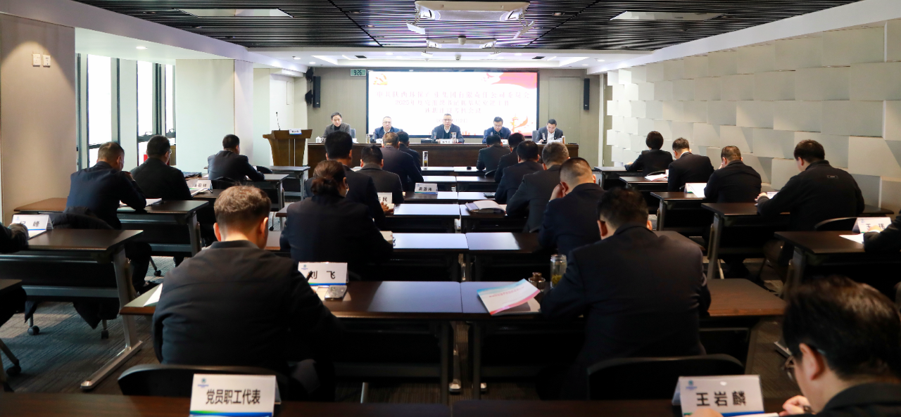 陕西6008集团集团党委召开2025年度党组织书记抓下层党建事情述职评议审核聚会